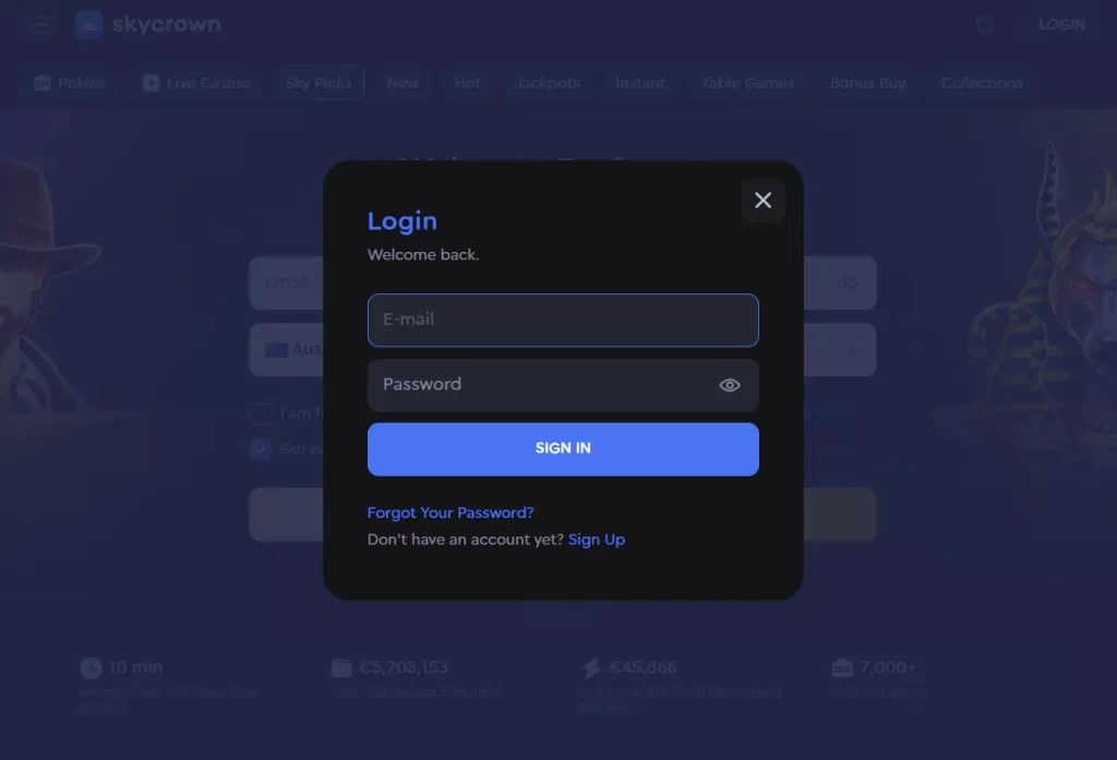 Login Process